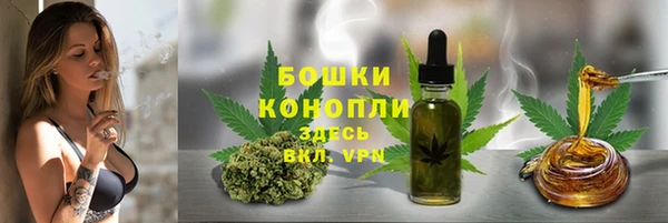 Альфа ПВП Корсаков