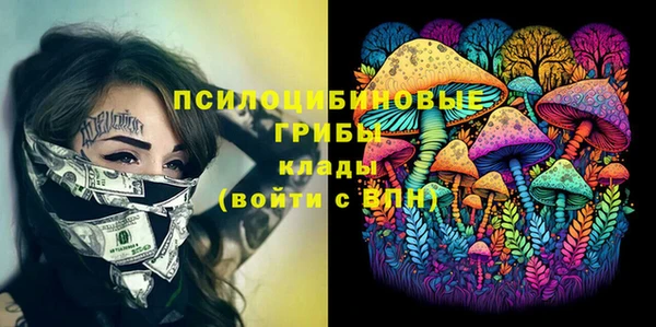 мет Коряжма
