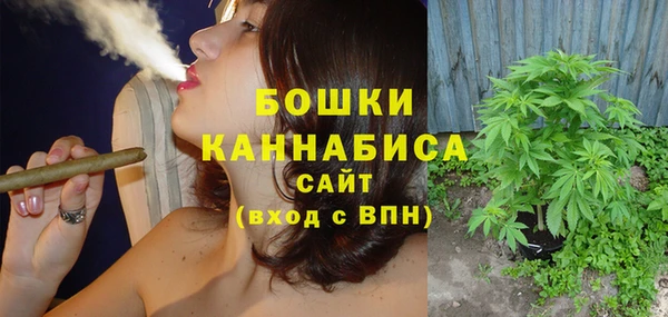 Альфа ПВП Корсаков