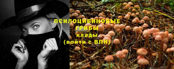 винт Костерёво