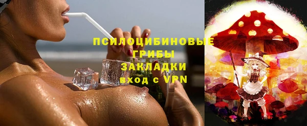Альфа ПВП Корсаков