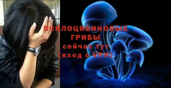 винт Костерёво