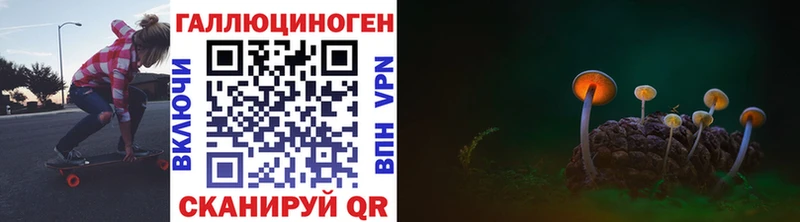 Галлюциногенные грибы Cubensis  Купить  Багратионовск 